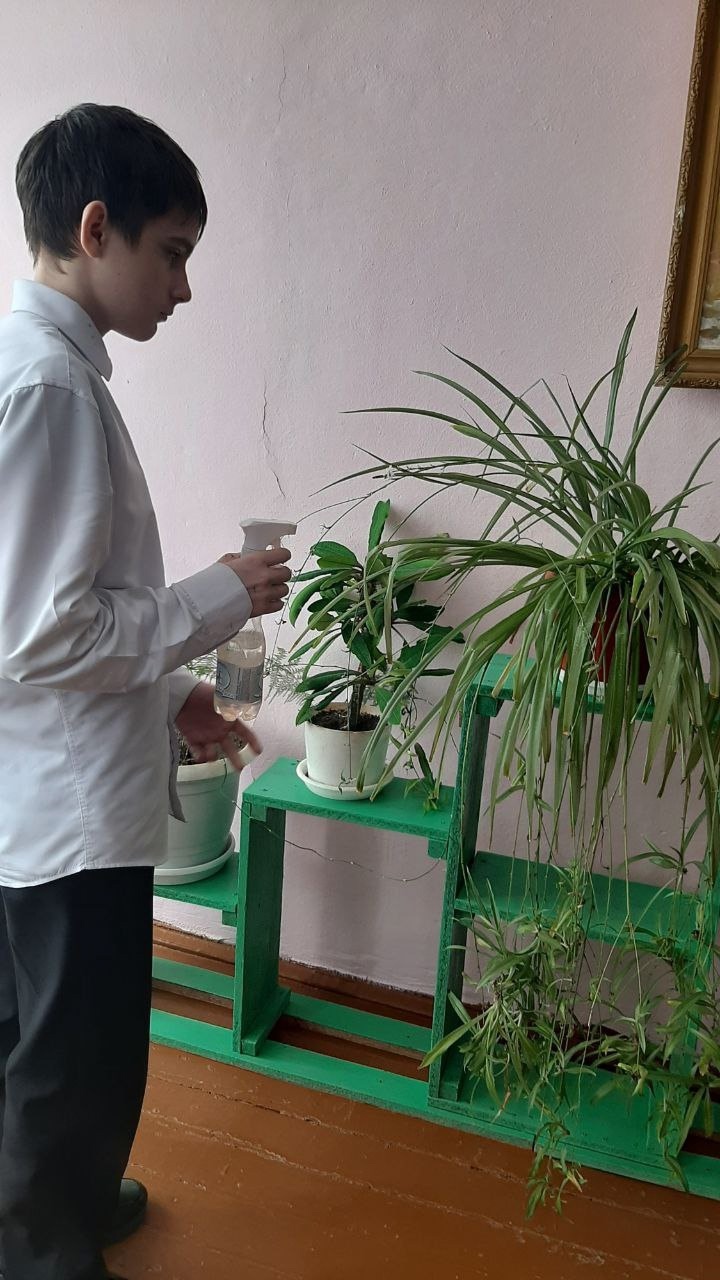 Уход за комнатным растениями.