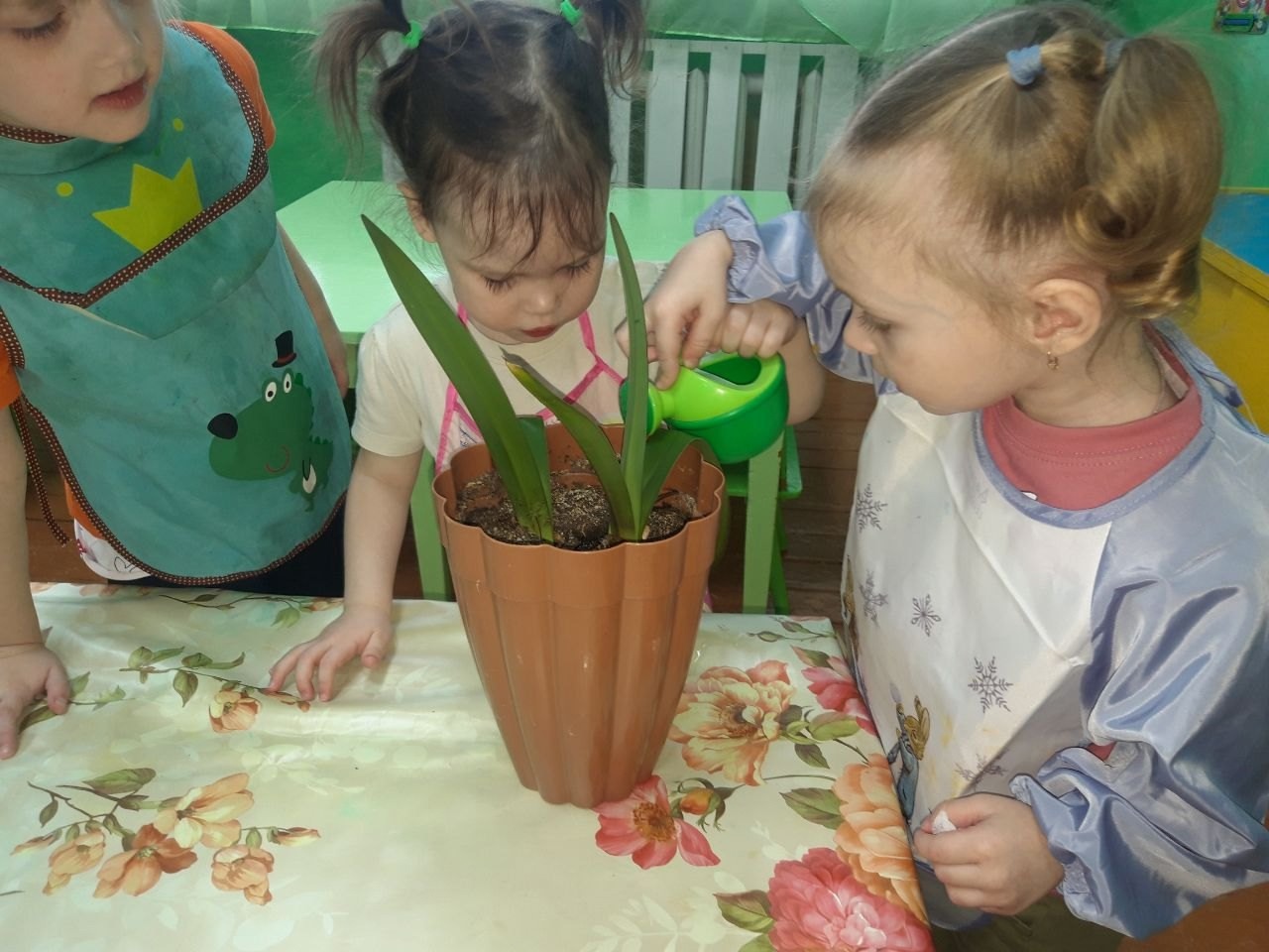 Уход за комнатным растениями.