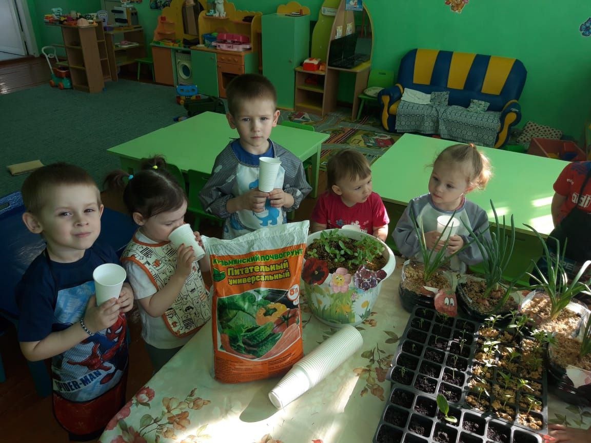 Пересаживаем рассаду.