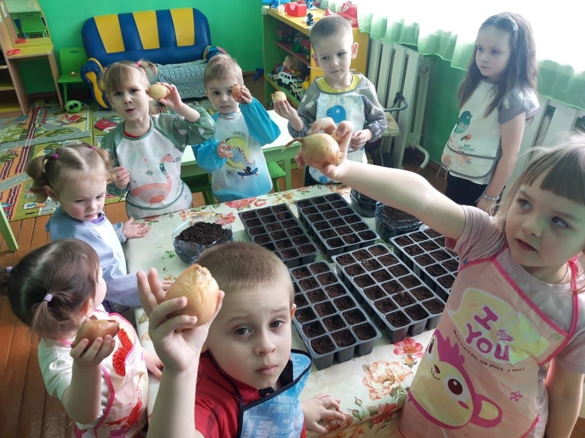 &amp;quot;Огород на подоконнике&amp;quot;.
