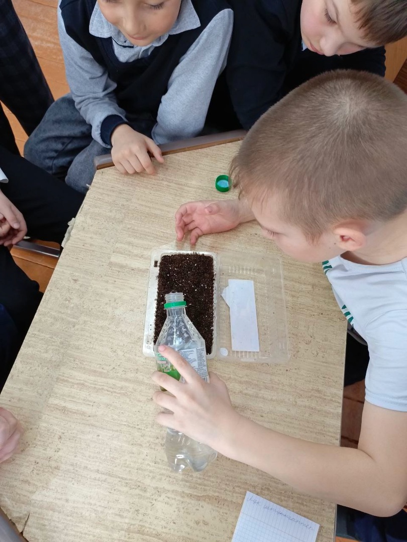 Посеяли семена на рассаду.
