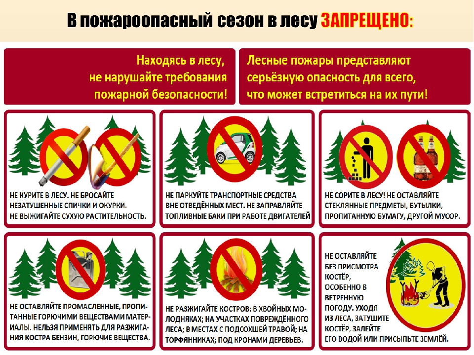 Островок безопасности.