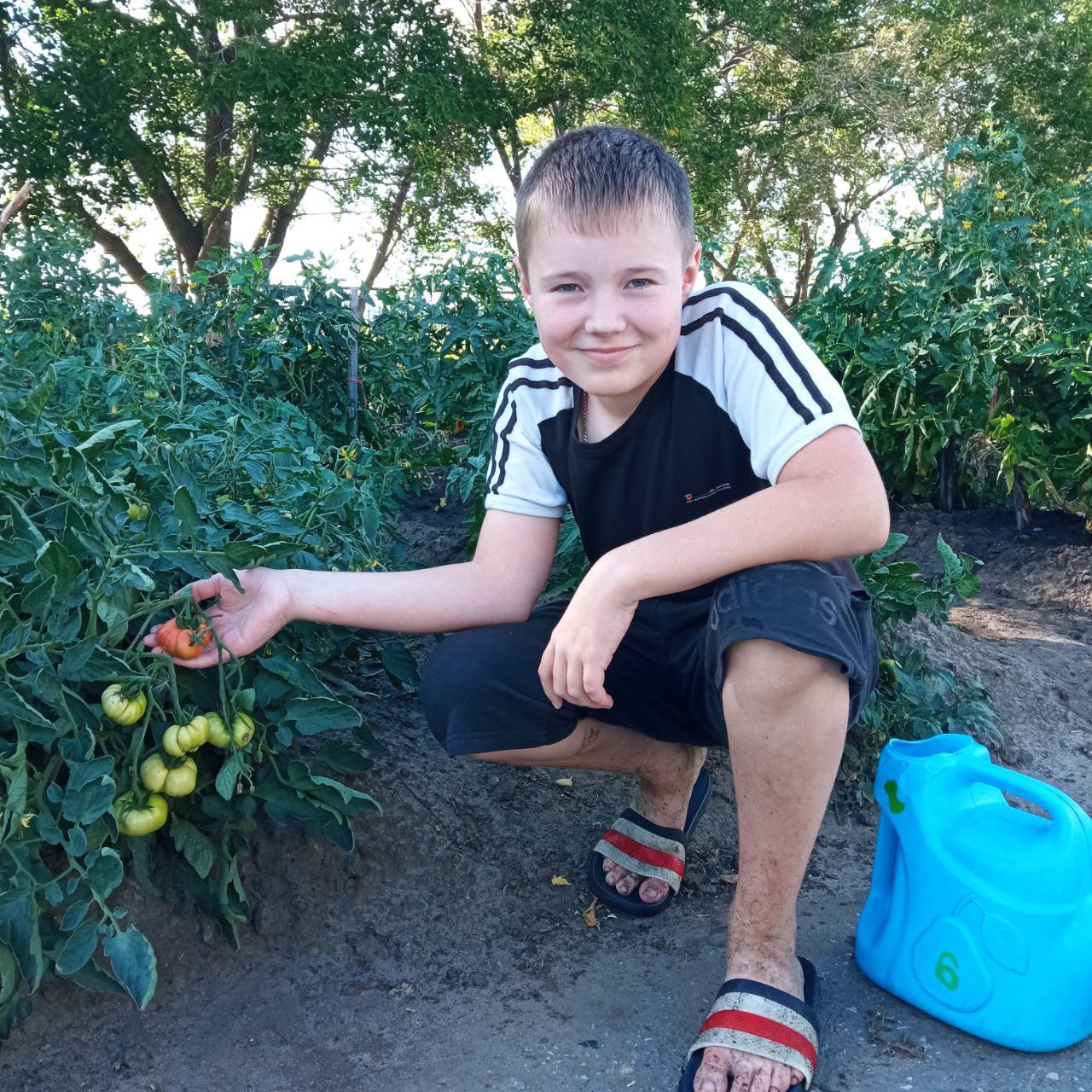 Наша плодотворная работа и трудовое лето в школе.